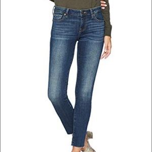 NWT Lucky Brand Bridgette Skinny Jeans | Sz 4/27